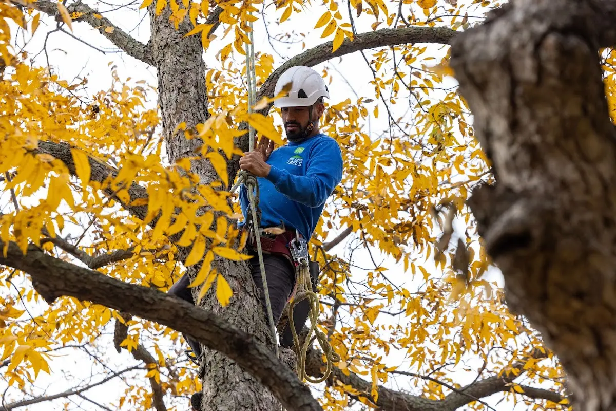 Skilled Storm Damage Cleanup crew working in Dupont