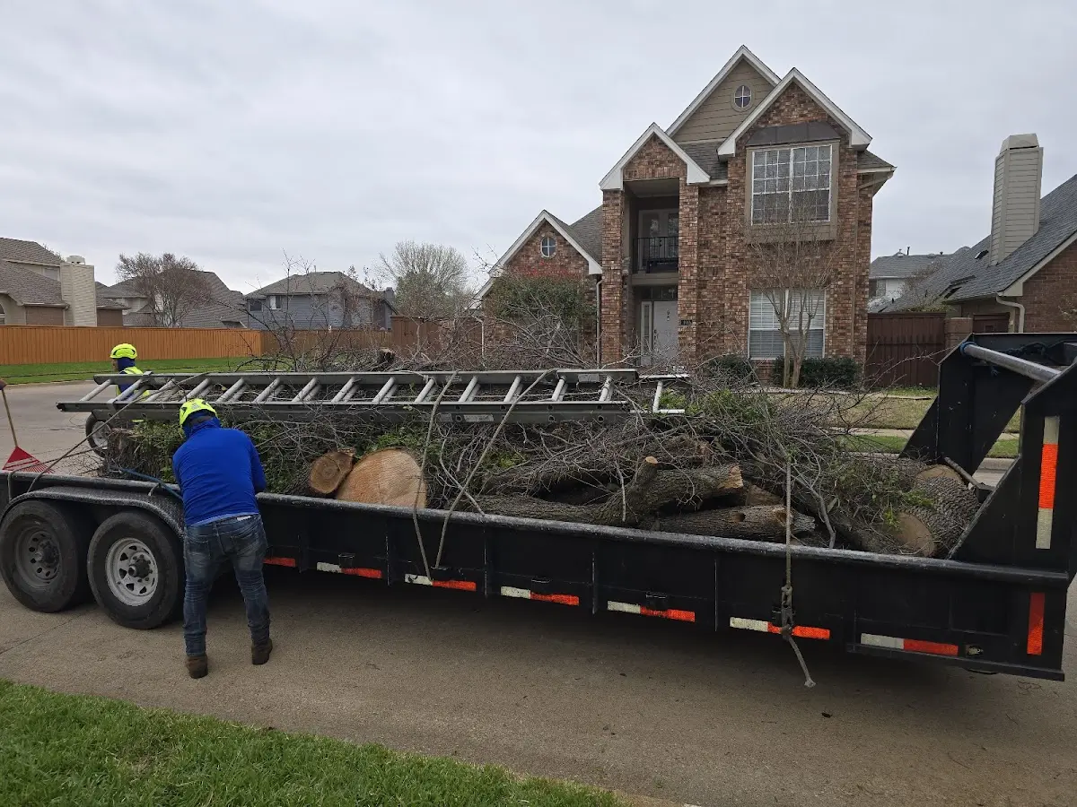 Expert Tree Pest Control with proper safety equipment in Dupont